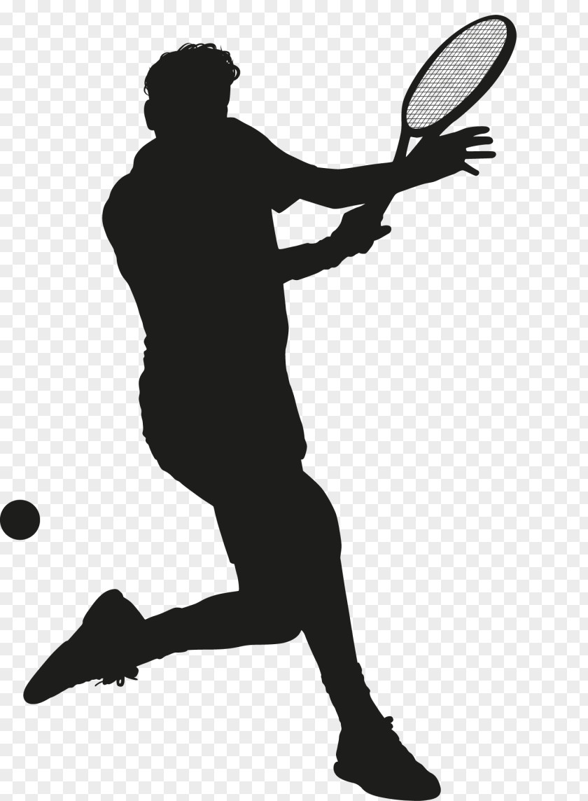 Tennis Squash Racket Clip Art PNG