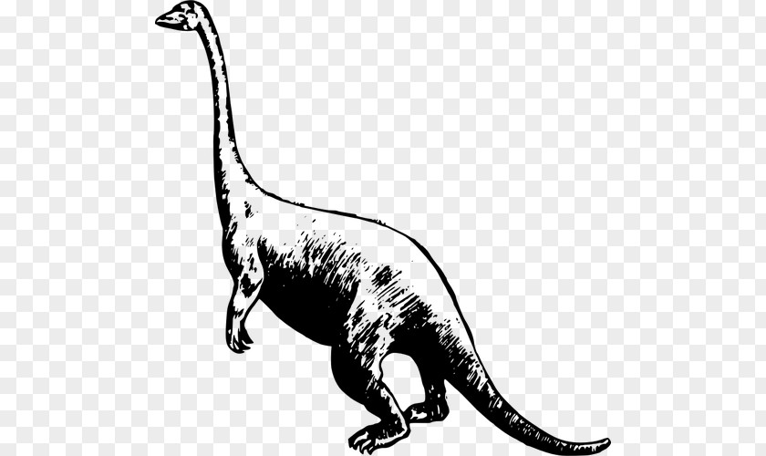 Tyrannosaurus Ankylosaurus Triceratops Deinonychus Velociraptor PNG