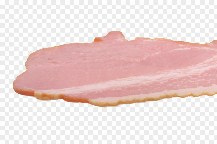 Delicious Bacon Vector Sausage Sandwich Back PNG