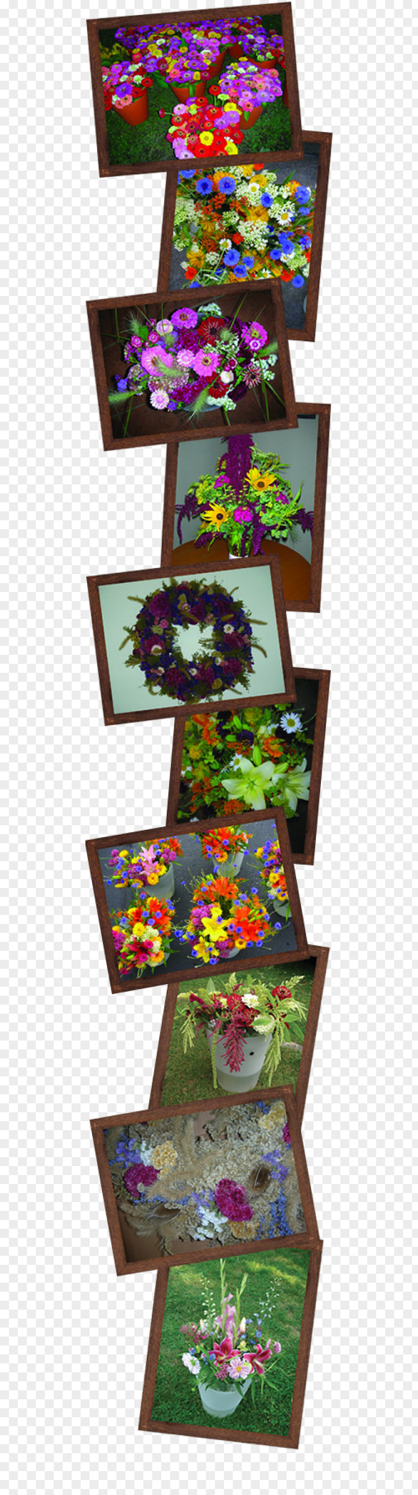 Ornamental Peppers Yarrow Flower Bouquet Cut Flowers Cherry Valley Organics PNG