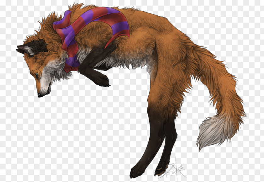 Dog Breed Red Fox Fur Snout PNG