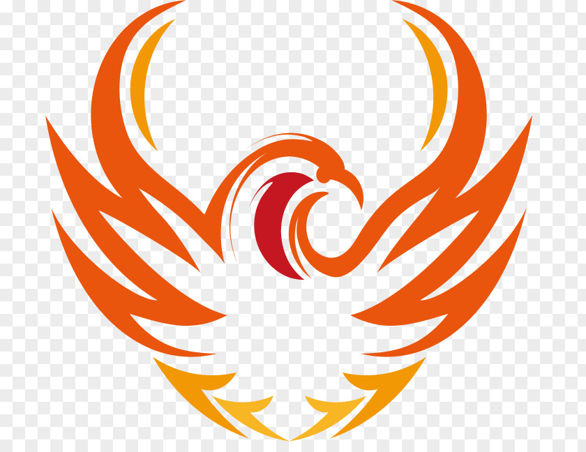 Fire Falcon Clip Art Logo Line Pattern Orange S.A. PNG