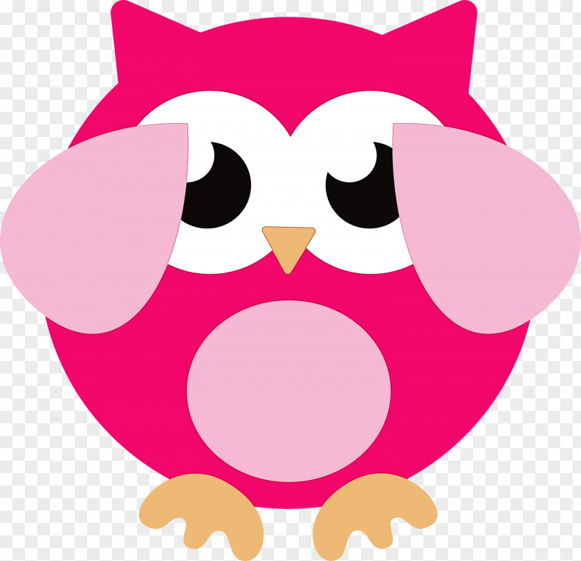 Snout Beak Birds Cartoon Owl M PNG