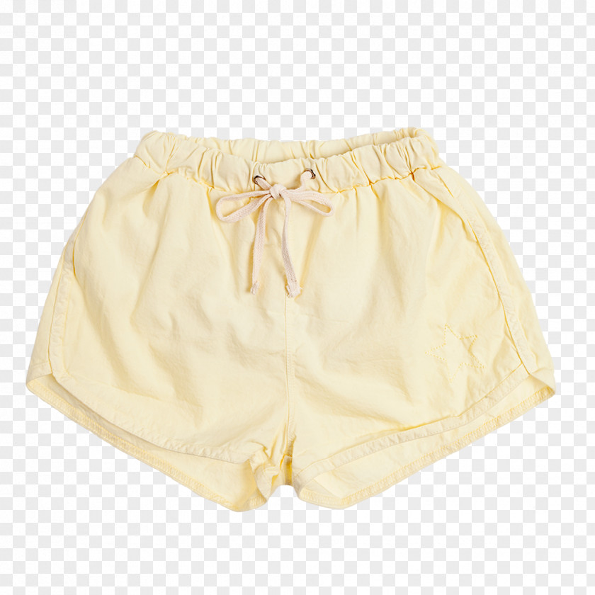 Trunks Underpants Briefs PNG