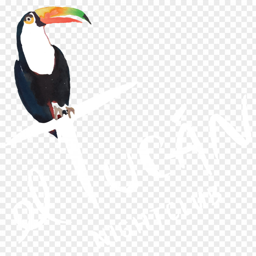 TUCAN El Tucán Toucan Mr | Hospitality Nightclub Restaurant PNG