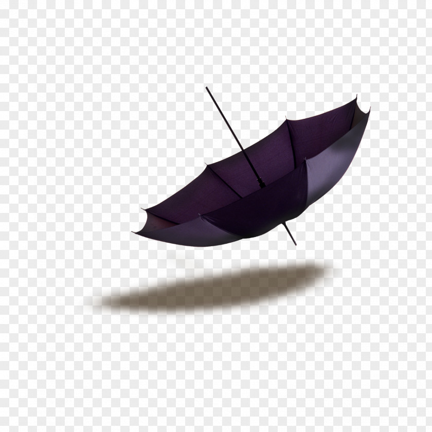 Umbrella Photographic Film Blog Clip Art PNG