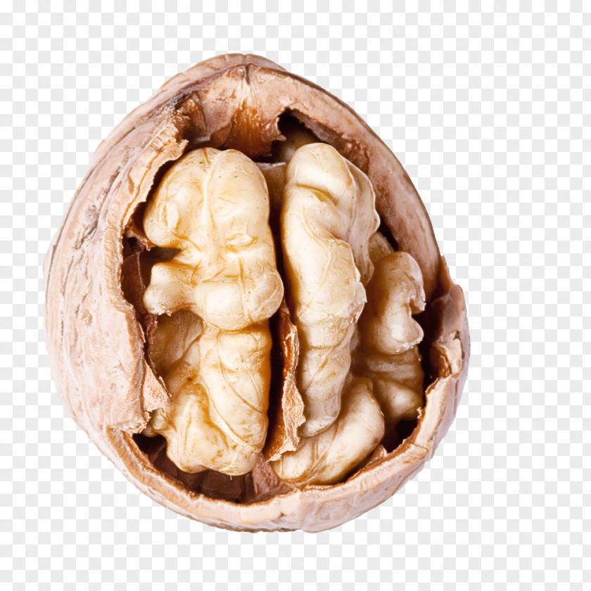 Walnut Nut Food Ginger Plant PNG