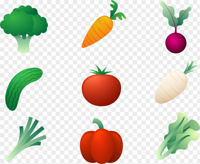 A Variety Of Vegetables Food Celery Radish Vegetable Download PNG