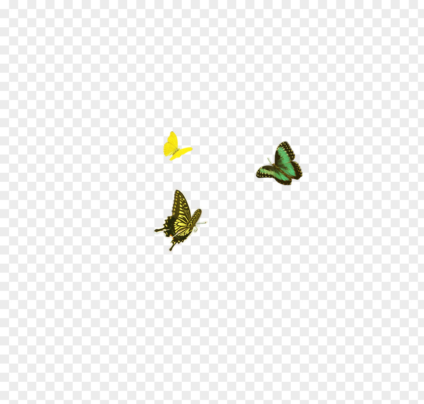 Butterfly Icon PNG