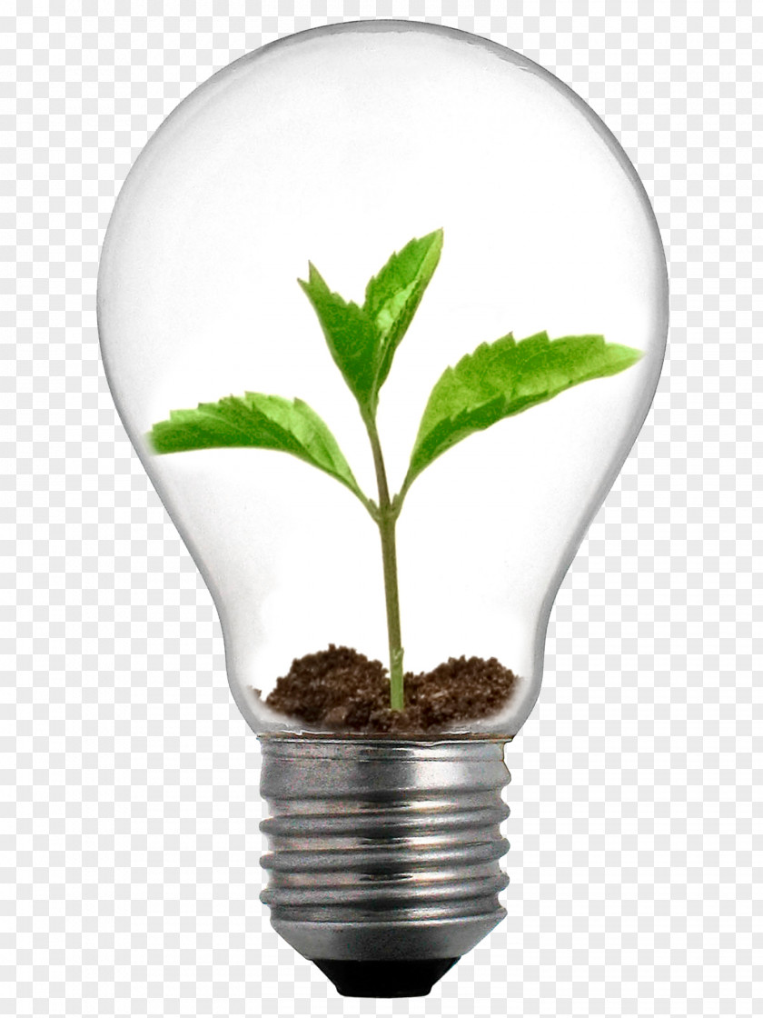 Energy-saving Incandescent Light Bulb Grow Lighting LED Lamp PNG