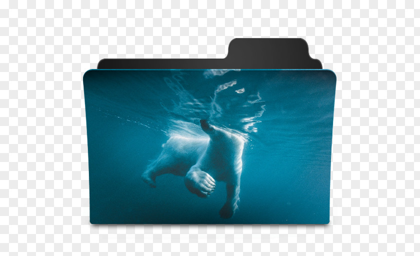 Polar Bear National Geographic Underwater Photography PNG