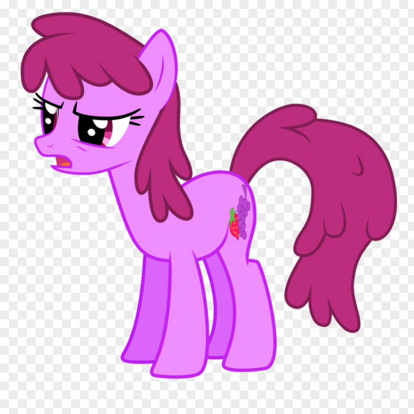 Punch Pony Rainbow Dash Big McIntosh Twilight Sparkle PNG