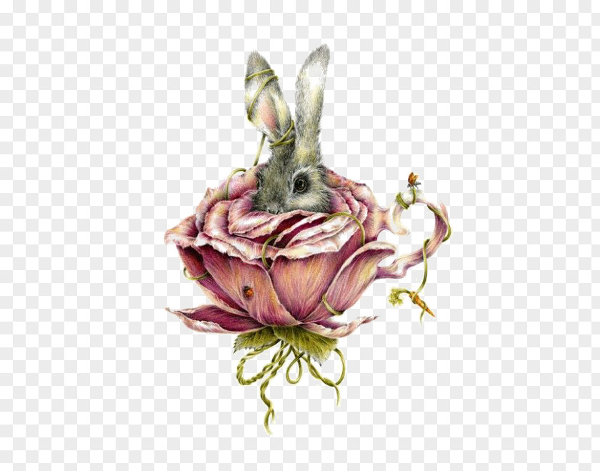Teacup Bunny Alices Adventures In Wonderland Drawing Courtney Brims Artist Illustration PNG