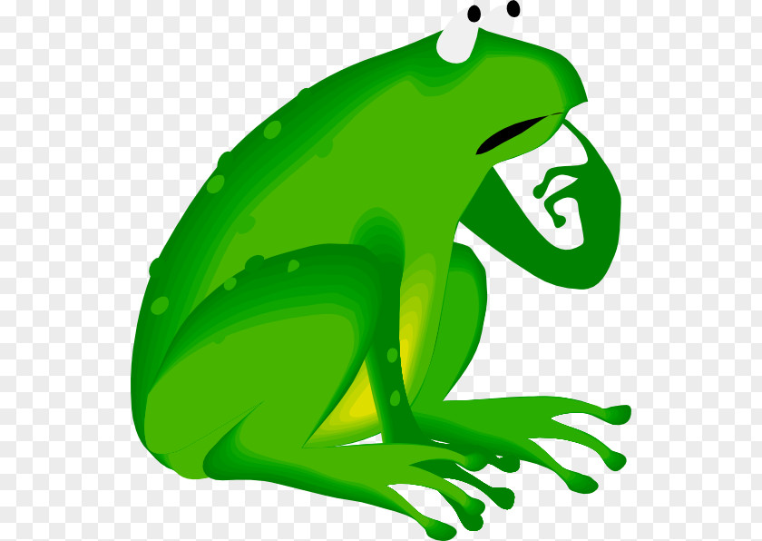 Agalychnis Shrub Frog Cartoon PNG