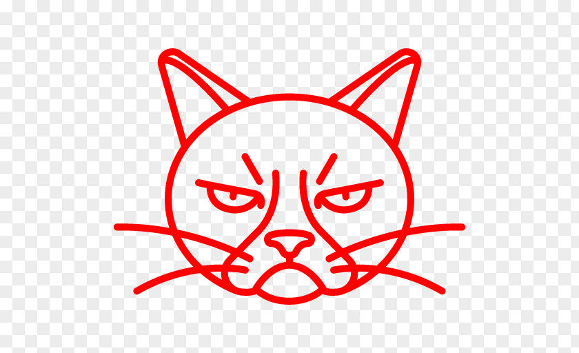 Cat Drawing PNG