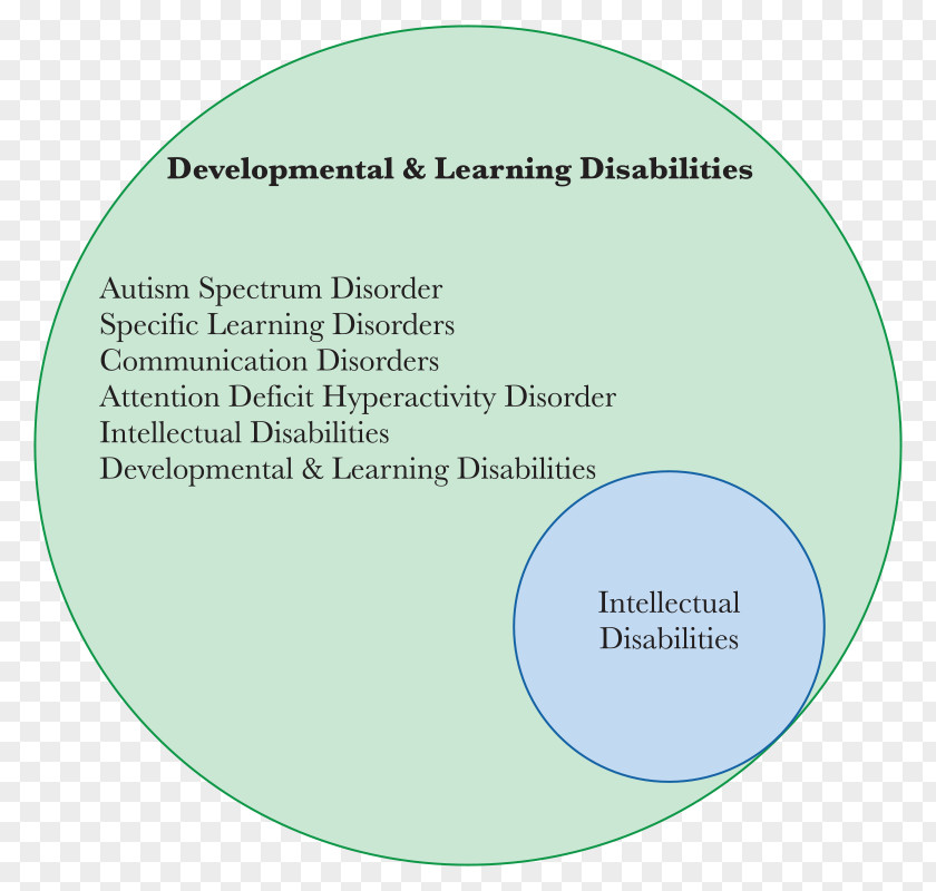 Disabilityadjusted Life Year Education Disability Skills Organization Email PNG