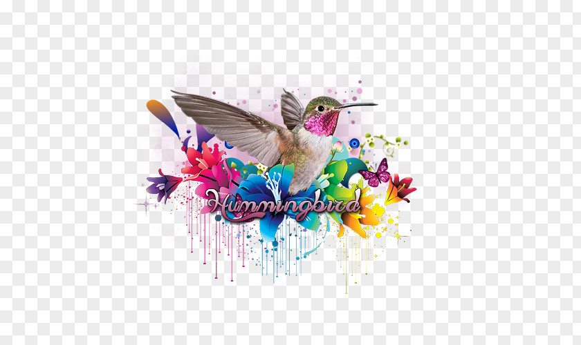 Humingbird Hummingbird IPad 2 Illustration Apple Air Graphic Design PNG