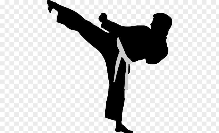 Karate Action Figures Martial Arts Tang Soo Do Shotokan PNG