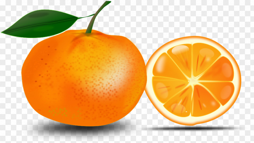 Orange Cliparts Juice Clip Art PNG