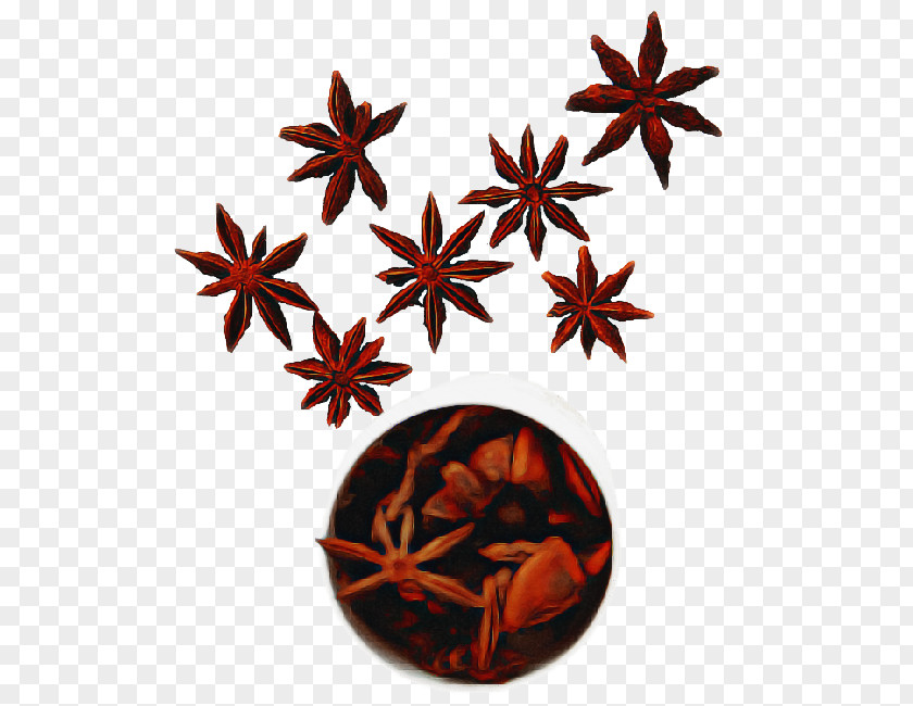 Sweet Gum Flower Star Background PNG