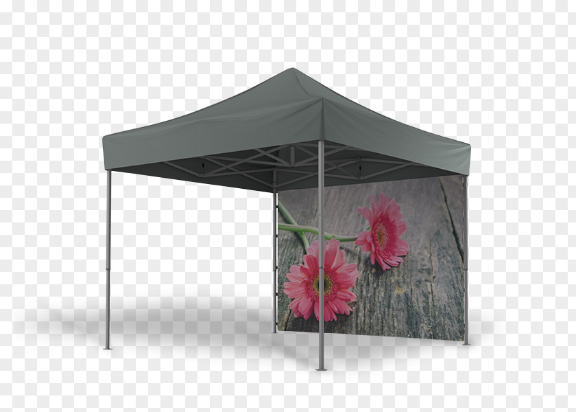 Table Tent Canopy Window Party PNG