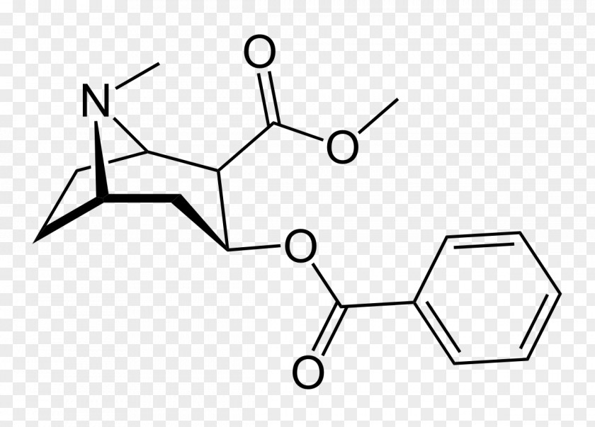 Cocain Cocaine Tropane Alkaloid Benzoylecgonine Cocaethylene PNG