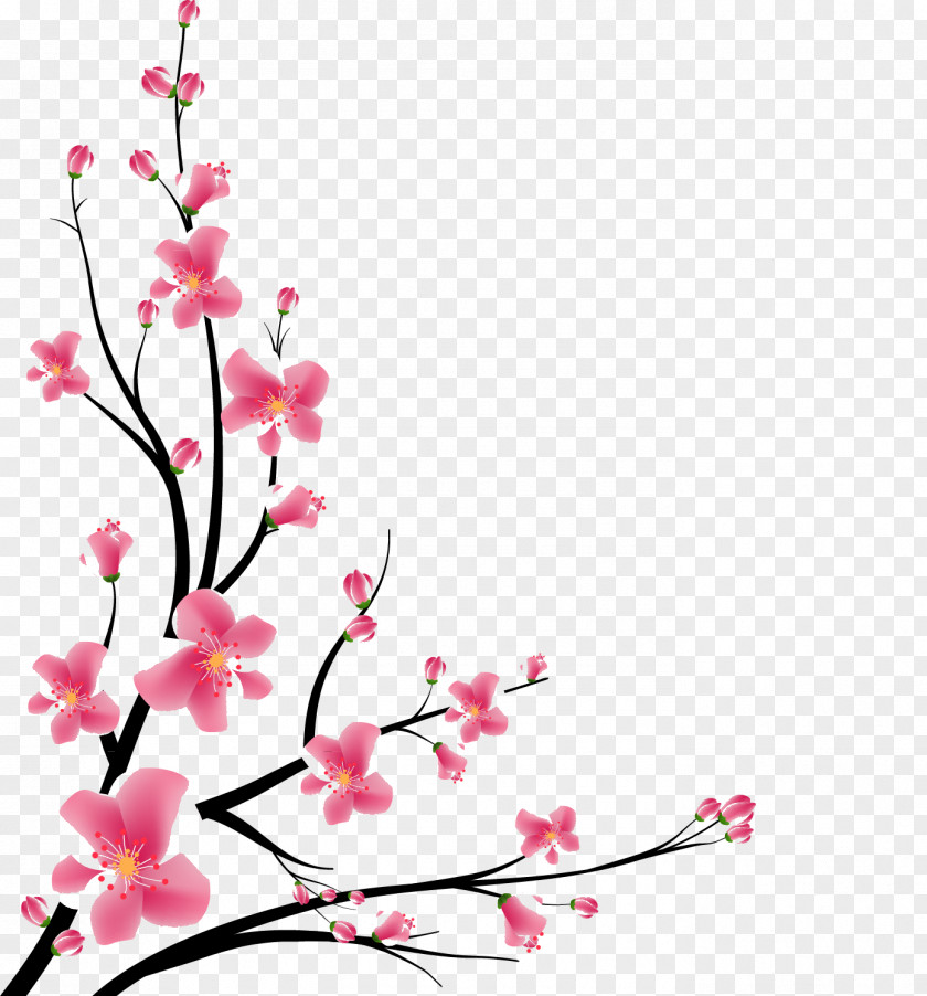 Decking Cherry Blossom Cherries Vector Graphics Design PNG