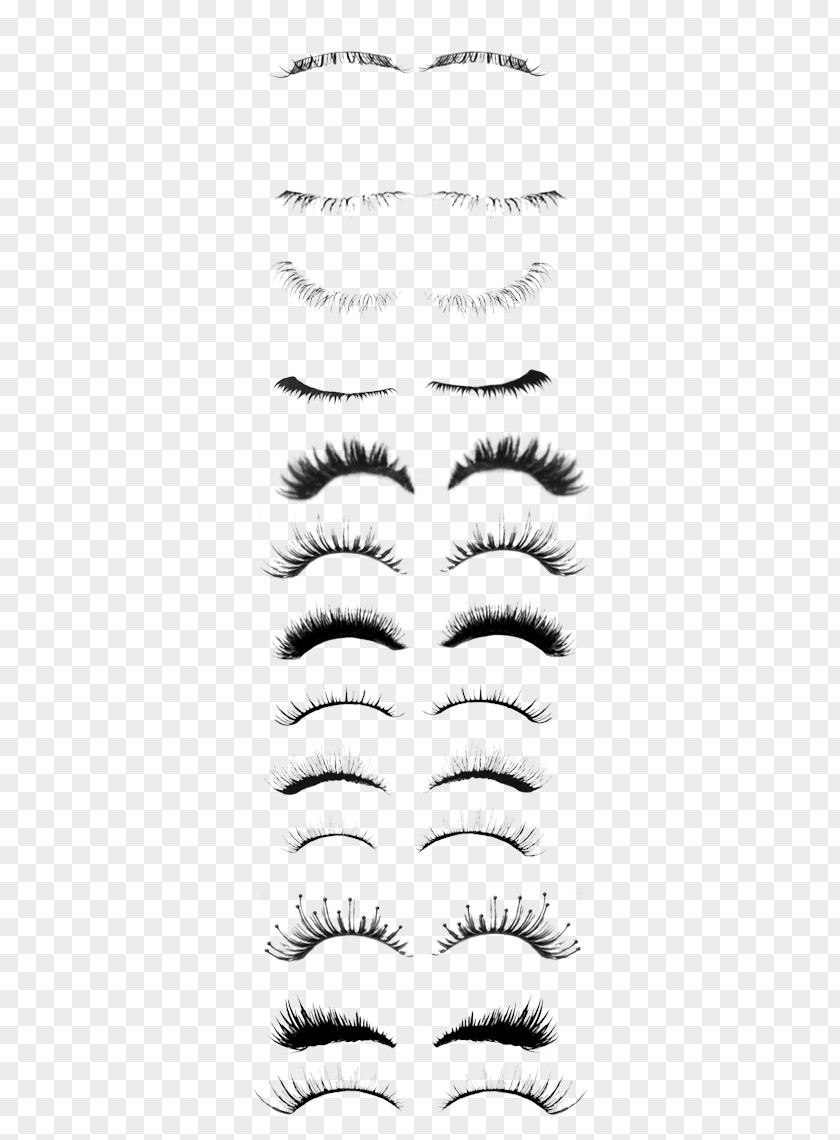Eyelash Collection PNG collection clipart PNG