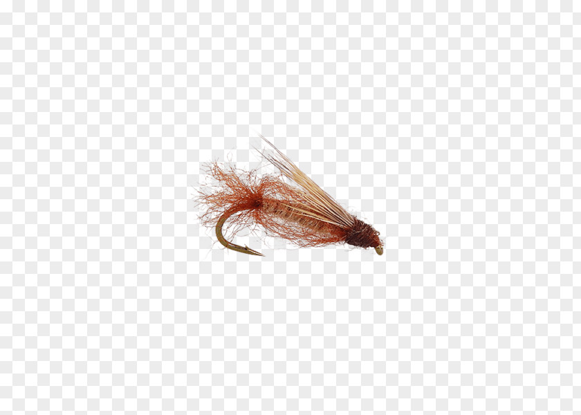 Fly Artificial Caddisfly Pupa Fishing Elk Hair Caddis PNG
