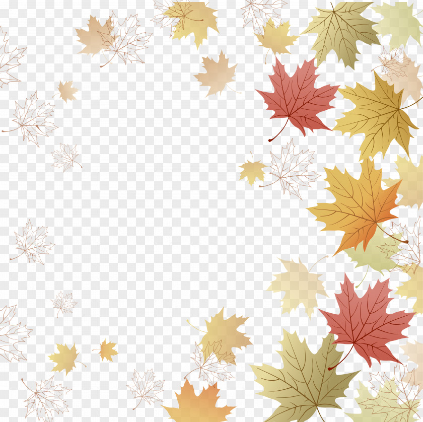 Leaf Maple Paper Information Letter PNG