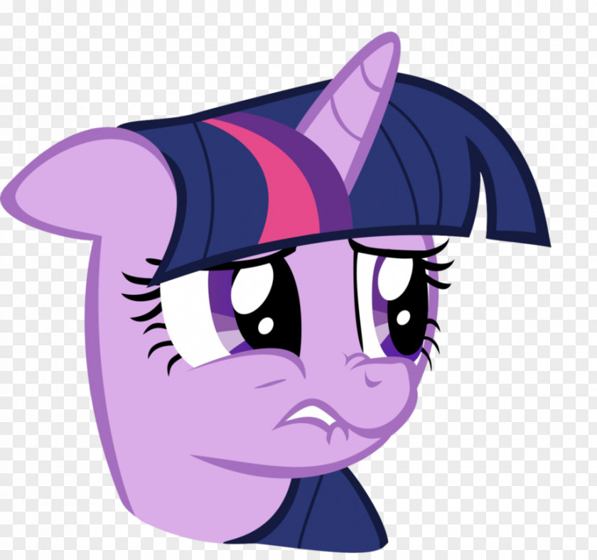 Stupid Twilight Sparkle Pinkie Pie Rarity Rainbow Dash PNG