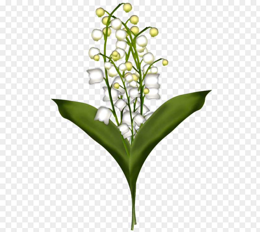 Brin Lily Of The Valley Animaatio Flower PNG