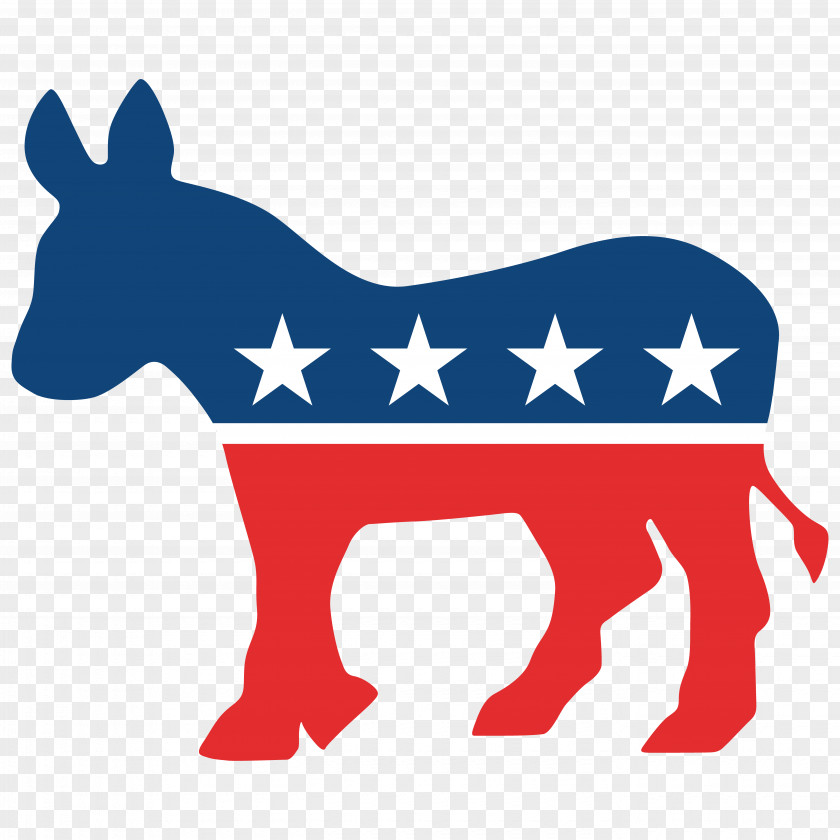 Donkey United States Democratic Party Political Republican Caucus PNG