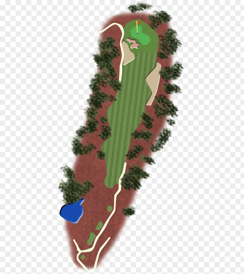 Golf Club Green Pine Family Leaf PNG