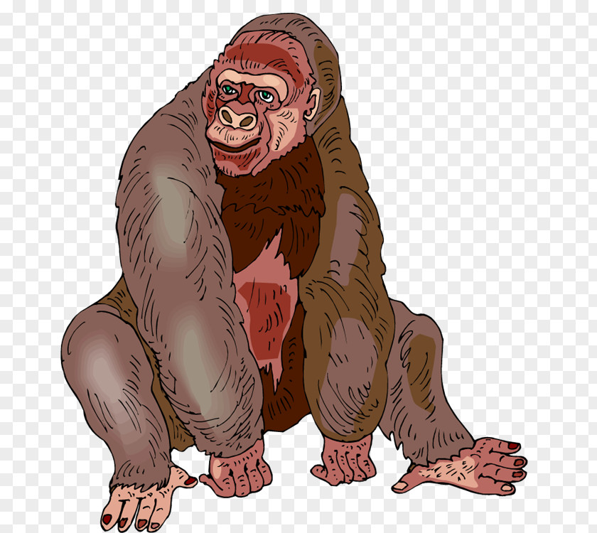 Gorilla Photos Free Western Content Clip Art PNG