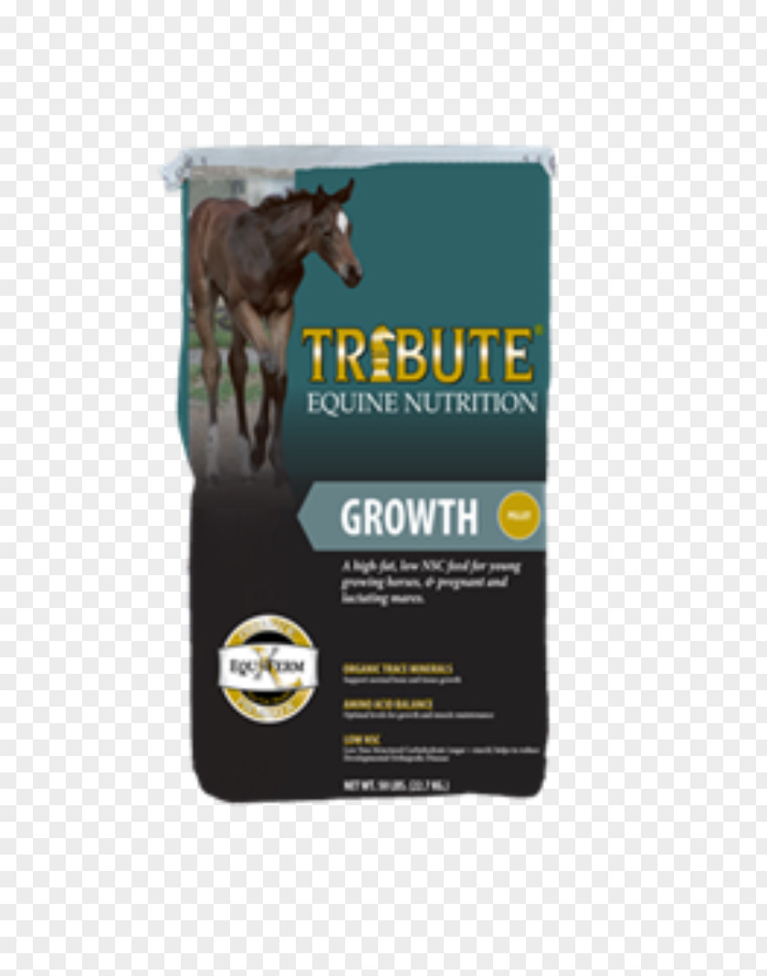 Grain Store Draft Horse Equine Nutrition Nutrient Veterinarian PNG