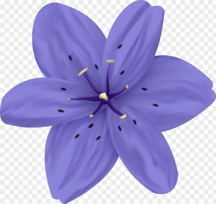 Lilac Lavender Violet Purple Flower PNG