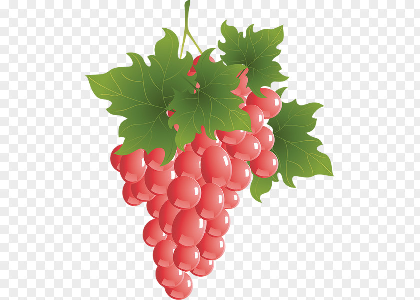 Raisin Sultana Zante Currant Grape Grappa Wine PNG