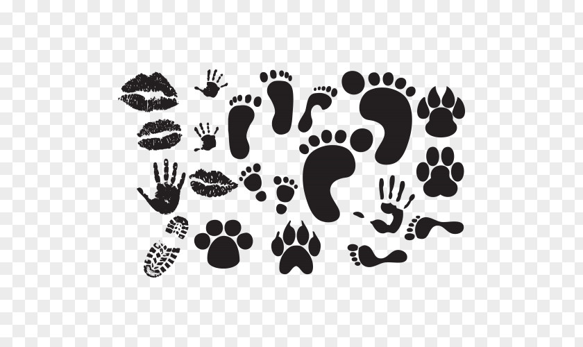 Silhouette Footprint Animal Track PNG