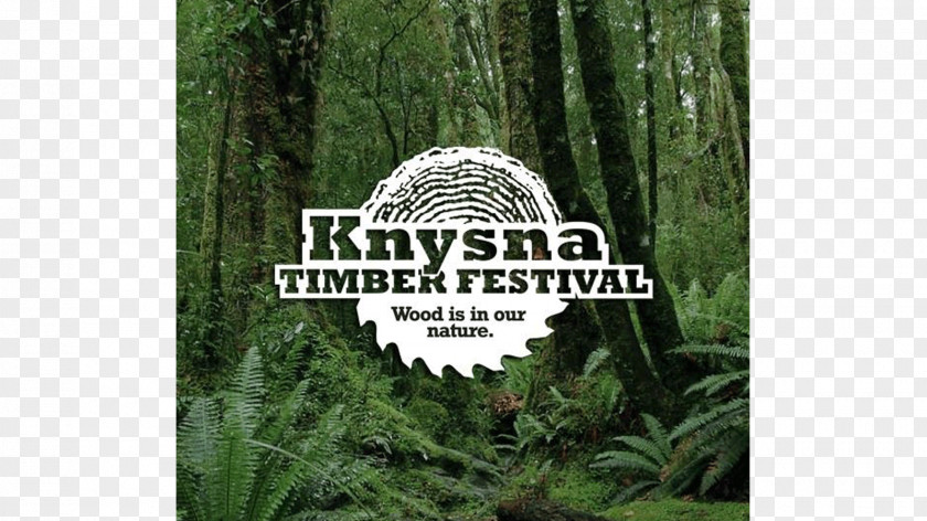 Timber Village Knysna Plett Herald Festival Biome Nature Reserve PNG