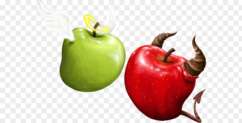 Two Apples Budva PNG