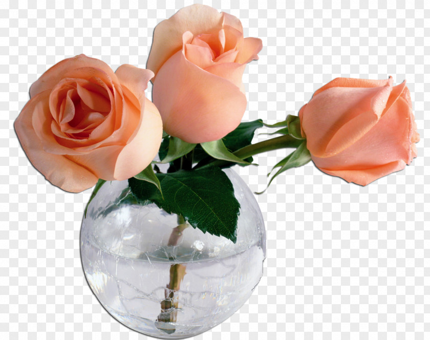 Vase Garden Roses Flower Floral Design PNG