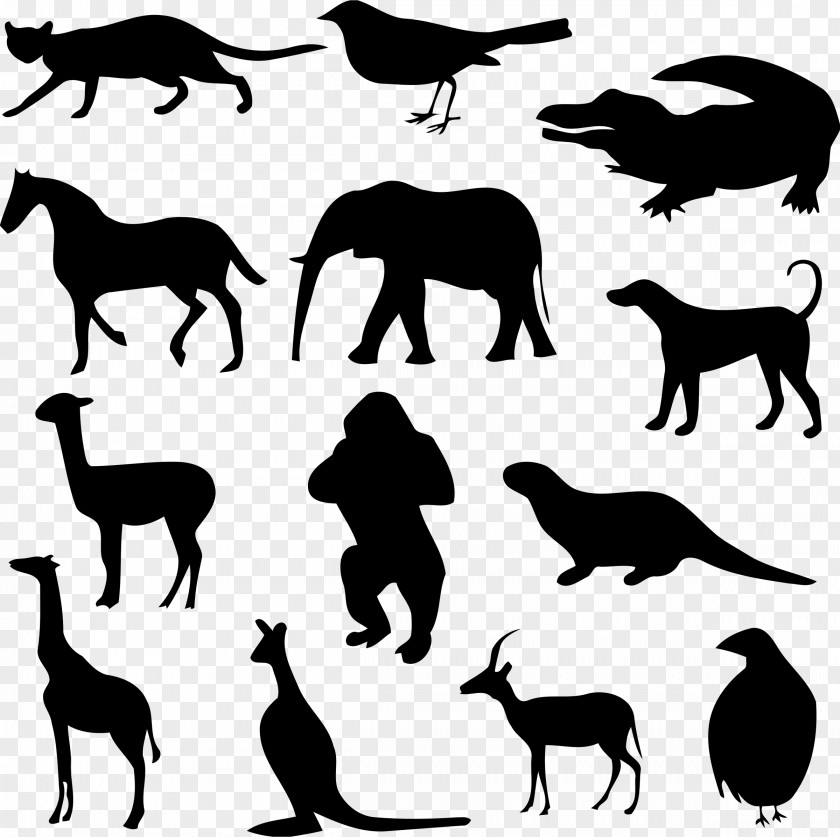 Dog Mustang Pack Animal Riddle PNG
