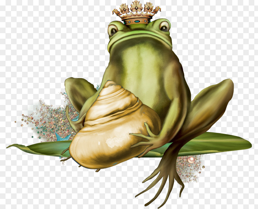 Frog True Toad Amphibian PNG