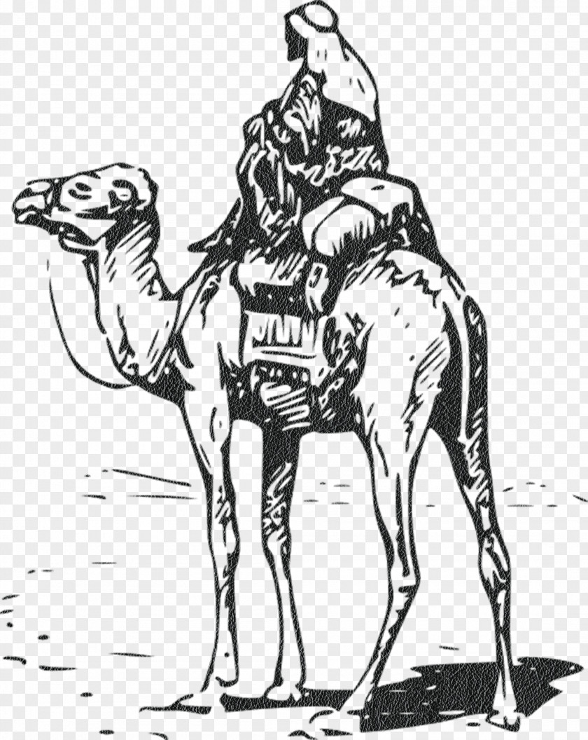 Hand-painted Camel People Bactrian Free Content Clip Art PNG