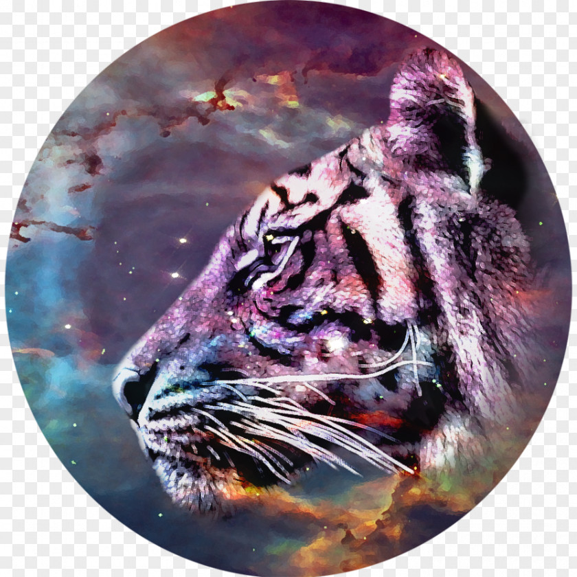 Tiger Whiskers Roar Cat Snout PNG