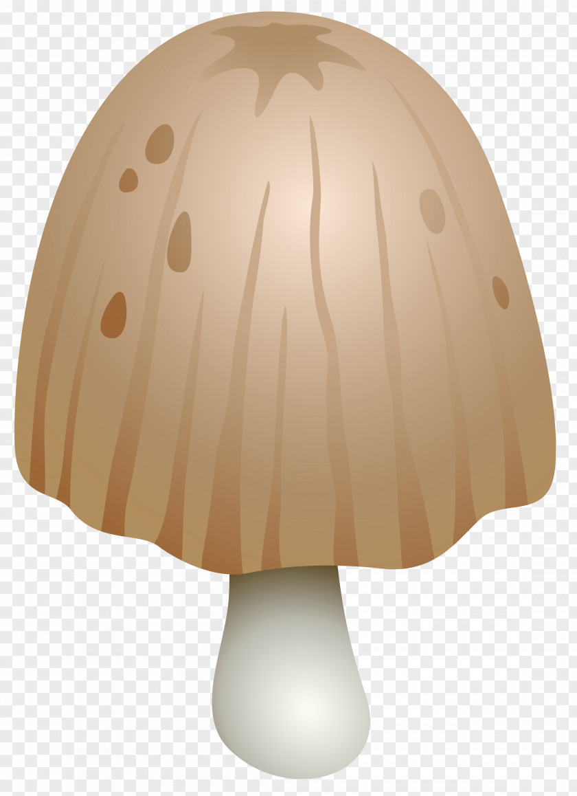 Mushroom Shaggy Ink Cap Fungus Clip Art PNG