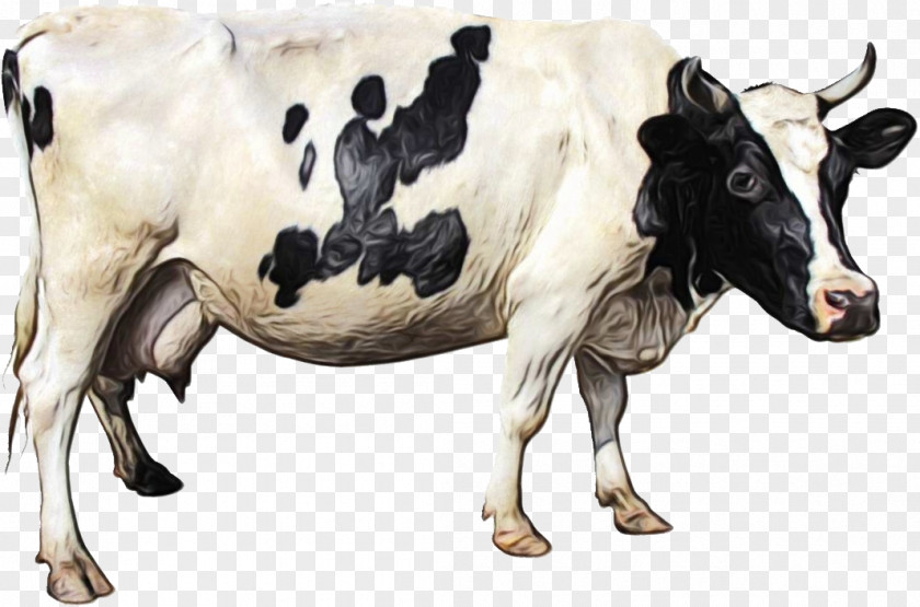 Pasture Bull Watercolor Animal PNG