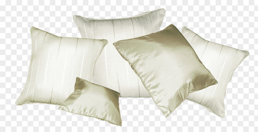 Pillow Cushion Dakimakura PNG