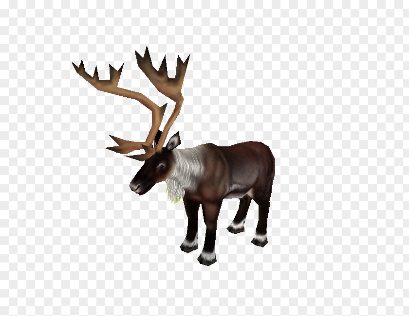 Reindeer Elk Antler Terrestrial Animal PNG